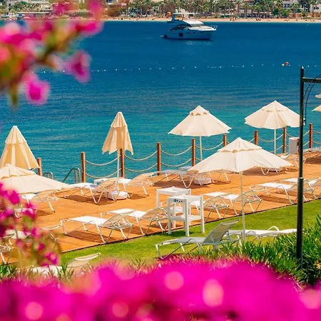 리조트 Baia Bodrum