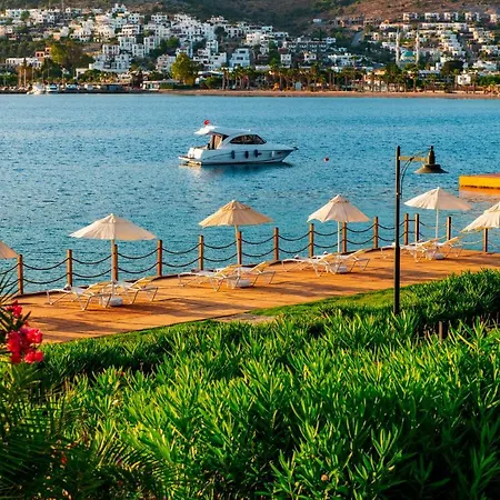度假村 Baia Bodrum 京多安