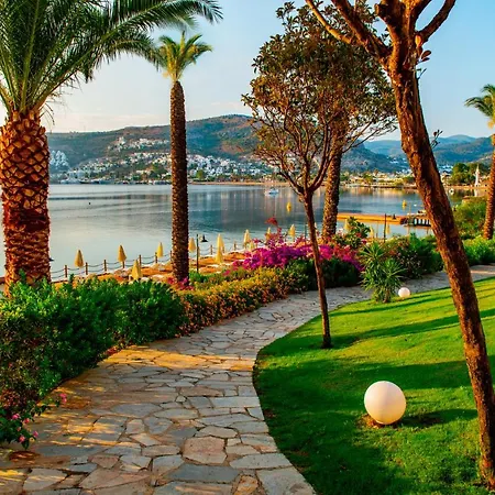 Baia Bodrum